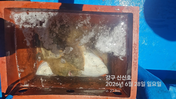 신신낚시 강구점 신신호_사진_20260628_5.jpg