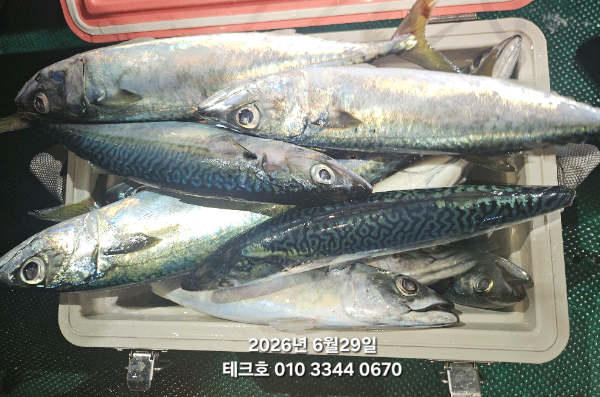 KakaoTalk_20260630_020157845.jpg