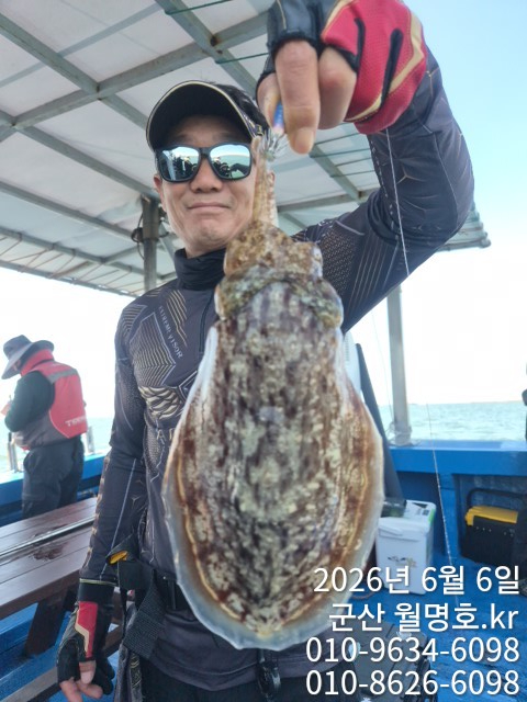 8596.jpg