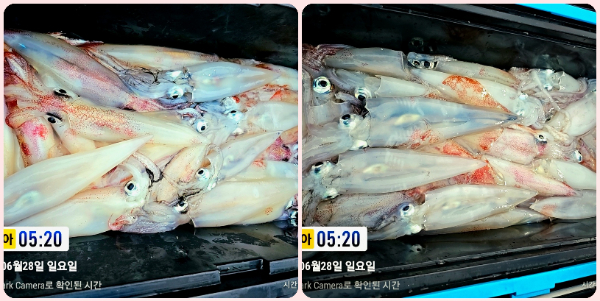 KakaoTalk_20260628_055246670_13-tile.jpg