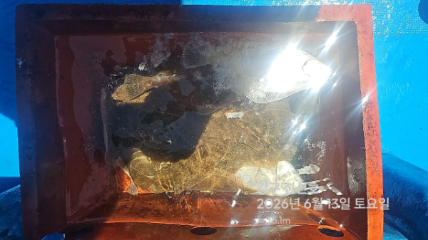 신신낚시 강구점 신신호_사진_20260613_7.jpg