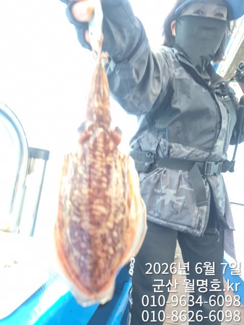 8650.jpg