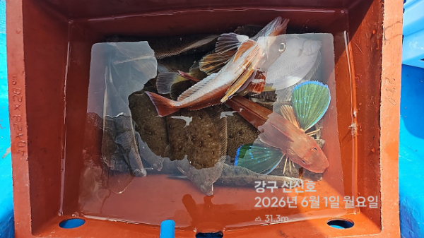 신신낚시 강구점 신신호_사진_20260601_16.jpg