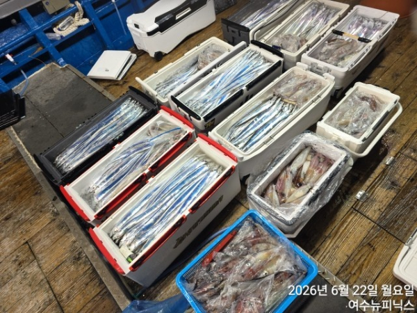 6월22일갈한치 (46).jpg