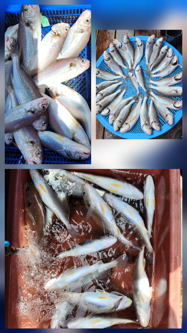 1000007960.jpg