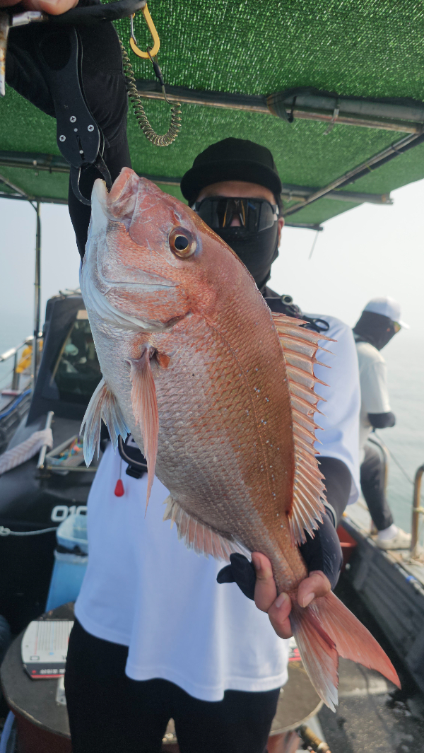 KakaoTalk_20260619_174557393_04.jpg