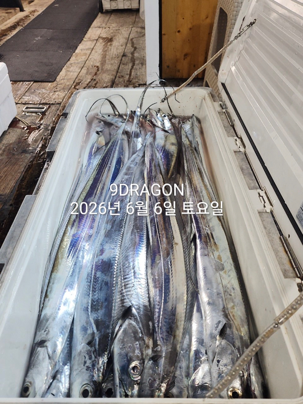 87DEB050-8EE1-476A-A70E-E3BC54022DFC.jpeg