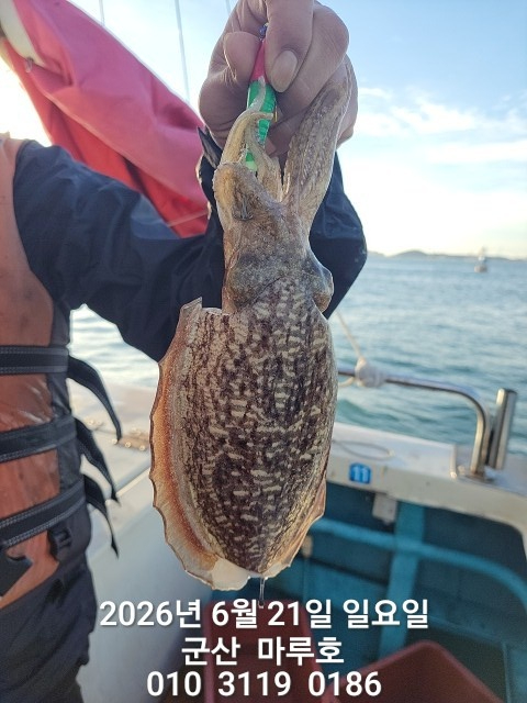 KakaoTalk_20260621_062650539.jpg