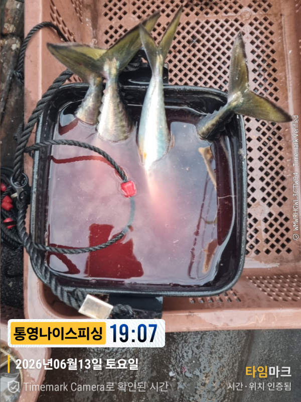 2026-06-13 19.07.16__(제목-통영나이스피싱).jpg