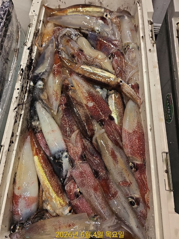 C797E53C-0380-4E7F-8E27-E269601D11C9.jpeg