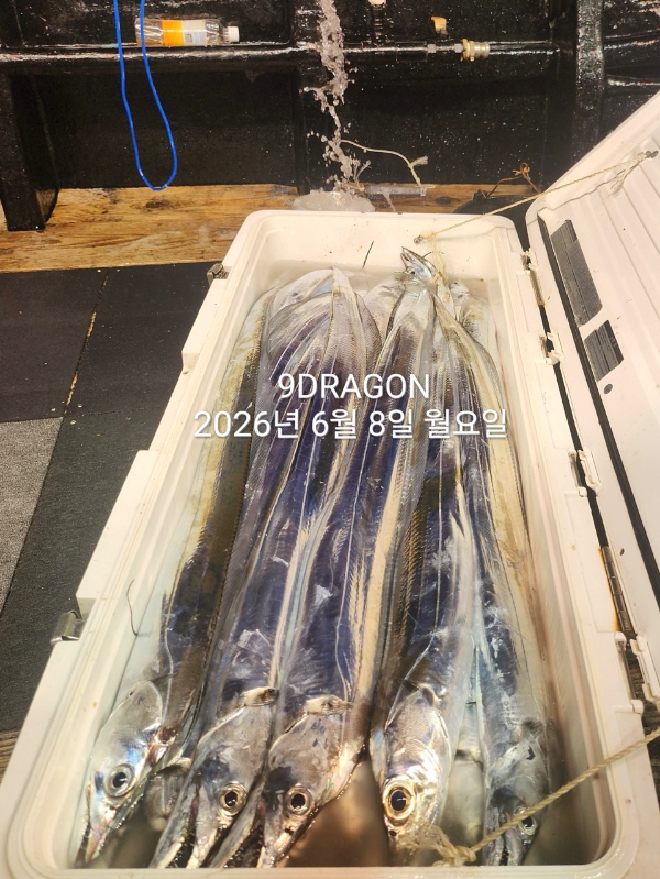 A04A43A6-881F-4C2C-A0FF-F361B7AE081F.jpeg