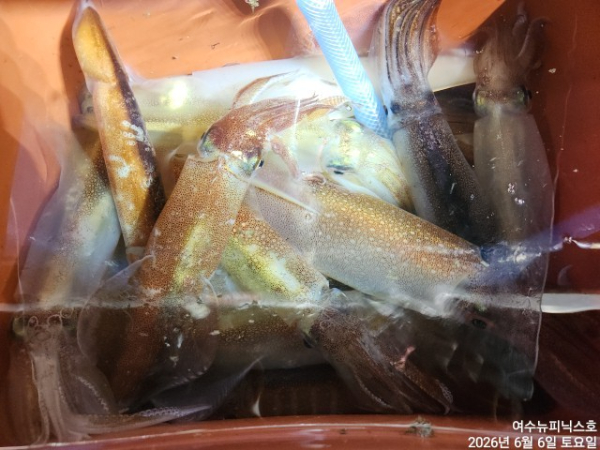 6월6일한치 (14).jpg