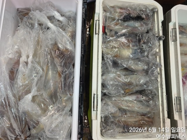 6월14일한치 (43).jpg
