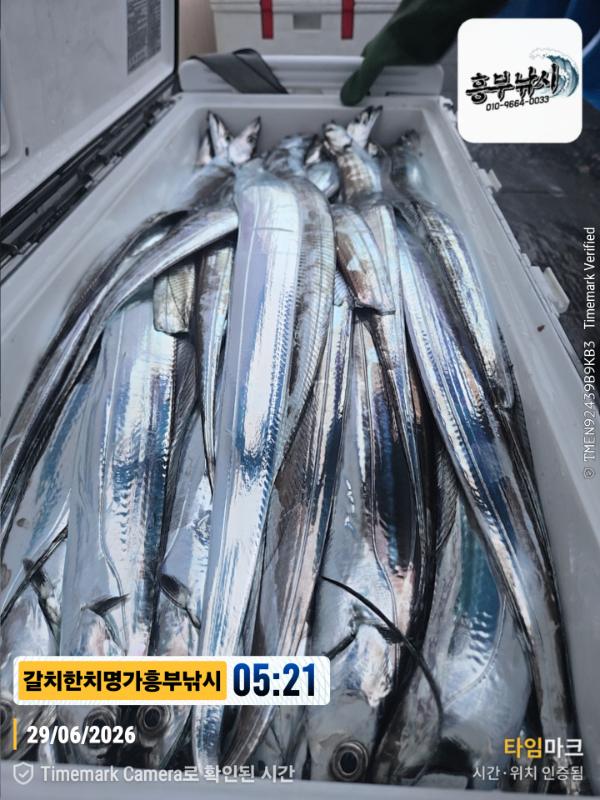 2026-06-29 05.21.04__(제목-갈치한치명가흥부낚시).jpg