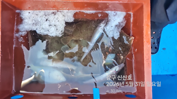 신신낚시 강구점 신신호_사진_20260531_14.jpg