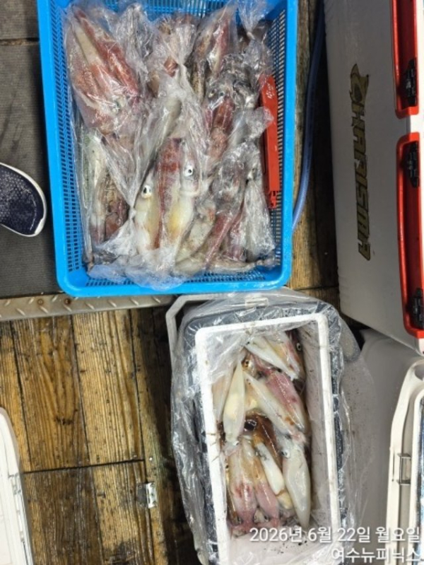 6월22일갈한치 (3)[크기변환].jpg