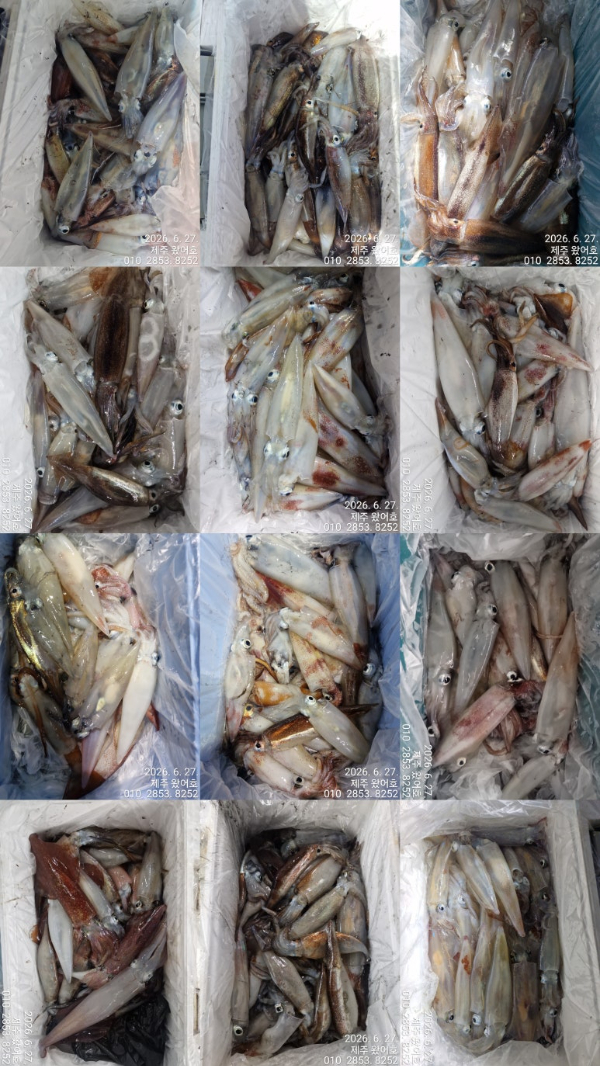 ImageToStl.com_merged-document.jpg