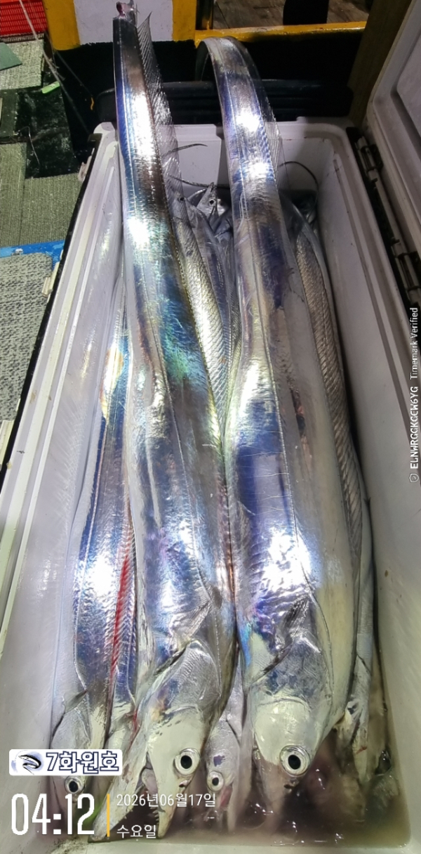 324EC0E9-099F-45D9-A163-73DB55B770F6.jpeg