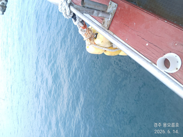 KakaoTalk_20260614_105246662_03.jpg