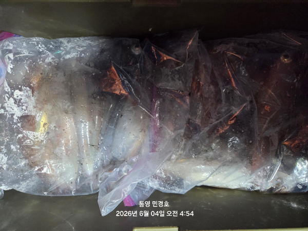 9AF7716D-7B6D-4B44-9DD5-0AE694EF2008.jpeg