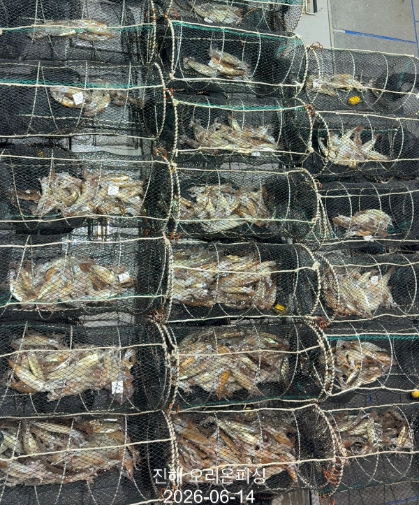KakaoTalk_20260614_073931970.jpg