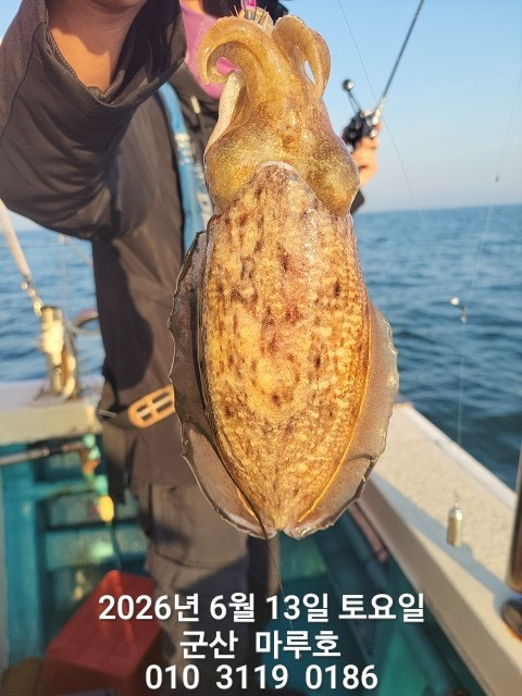 KakaoTalk_20260613_070405930.jpg