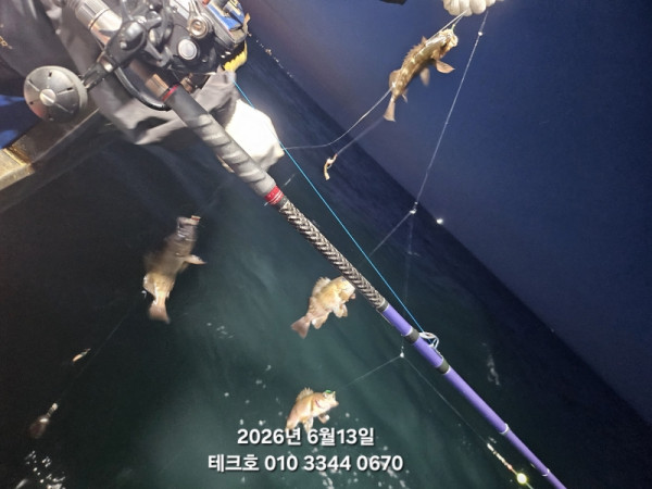 KakaoTalk_20260614_141425297_05.jpg