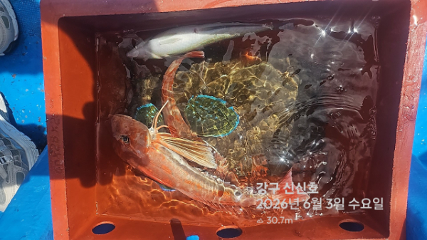 신신낚시 강구점 신신호_사진_20260603_14.jpg