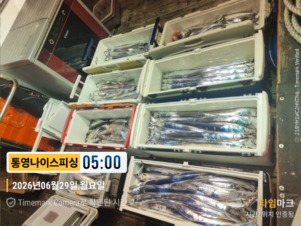 2026-06-29 05.00.06__(제목-통영나이스피싱).jpg