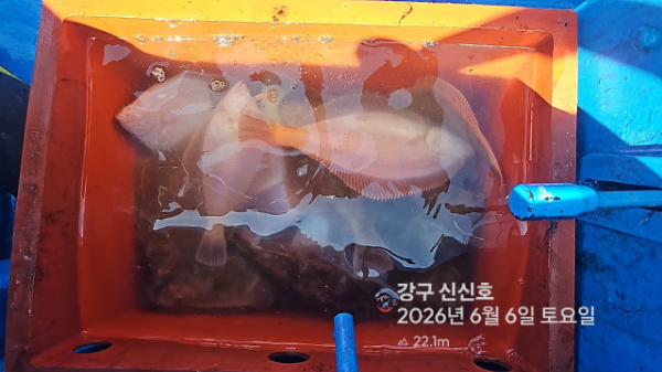 신신낚시 강구점 신신호_사진_20260606_13.jpg