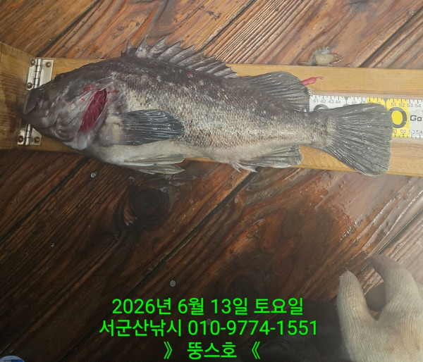 군산 선상낚시, 바다낚시 출조 전문 ☆서군산낚시☆_사진_20260613_4.jpg