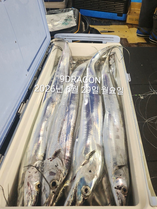C322820C-8AC1-4182-AAD3-D4A6CBC745AA.jpeg