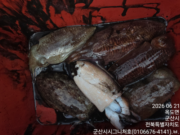 1000096914.jpg