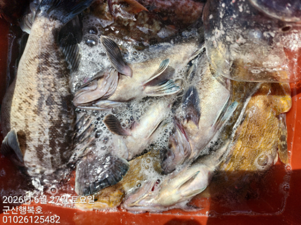 군산행복호_사진_20260627_11.jpg