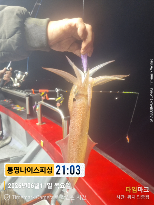 2026-06-11 21.03.51(1)__(제목-통영나이스피싱).jpg