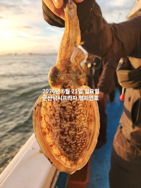 KakaoTalk_20260621_071531195_08.jpg