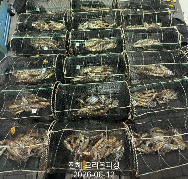 KakaoTalk_20260612_115500292.jpg