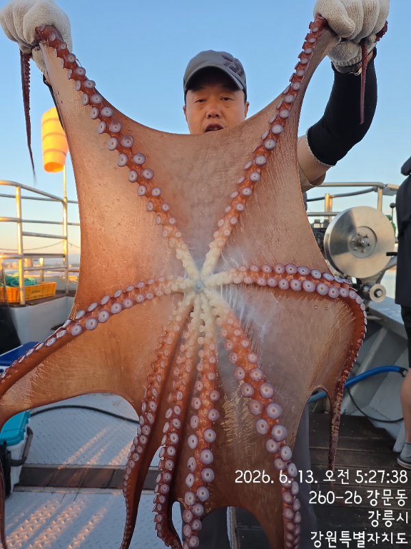 KakaoTalk_20260613_123652457_23.jpg