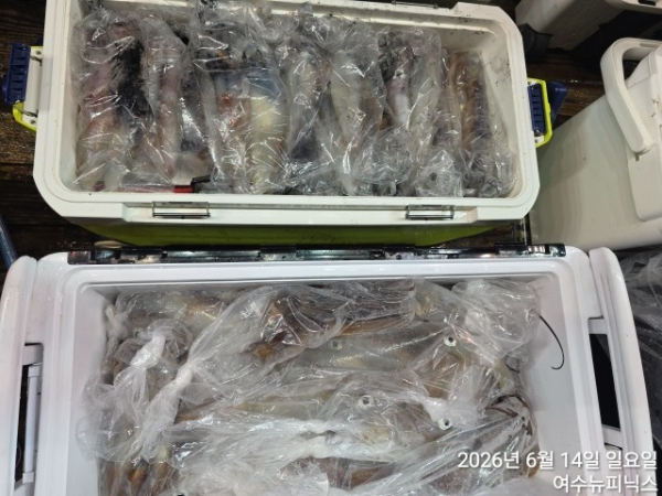 6월14일한치 (4).jpg
