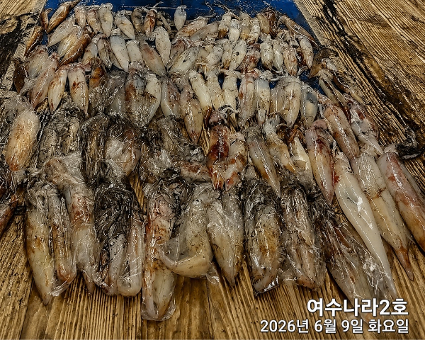 4D91D9CA-24F7-4CB7-832D-CDA11467E300.jpeg