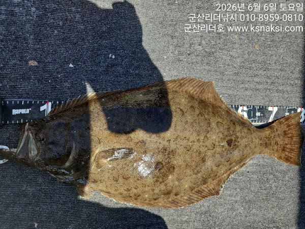 1780729305040.jpg