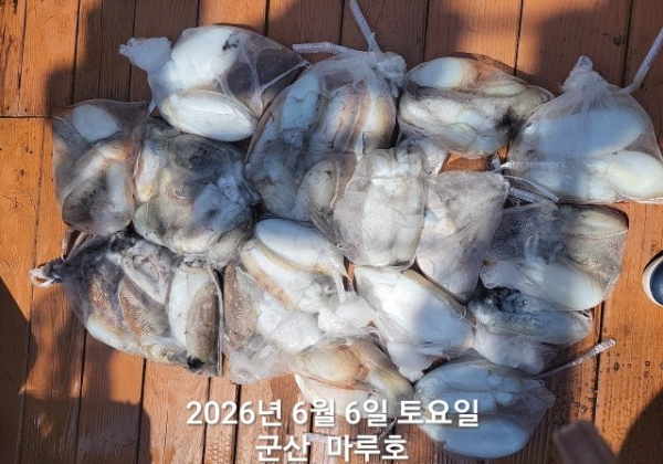 KakaoTalk_20260606_150629556.jpg