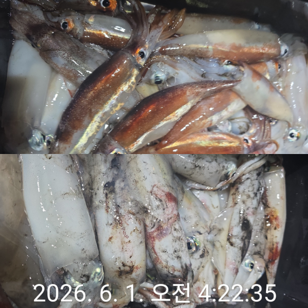 1000080185.jpg