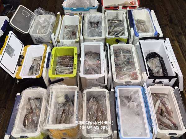 신아라호 한치 칼치 오징어_사진_20260628_13.jpg