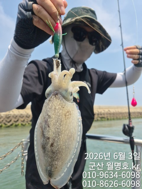 8166.jpg