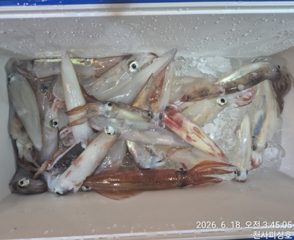 1004피싱_사진_20260618_18.jpg