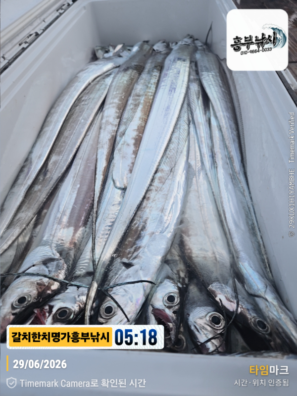 2026-06-29 05.18.18__(제목-갈치한치명가흥부낚시).jpg