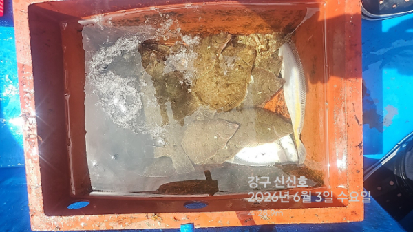 신신낚시 강구점 신신호_사진_20260603_12.jpg