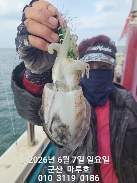 KakaoTalk_20260607_075524344.jpg