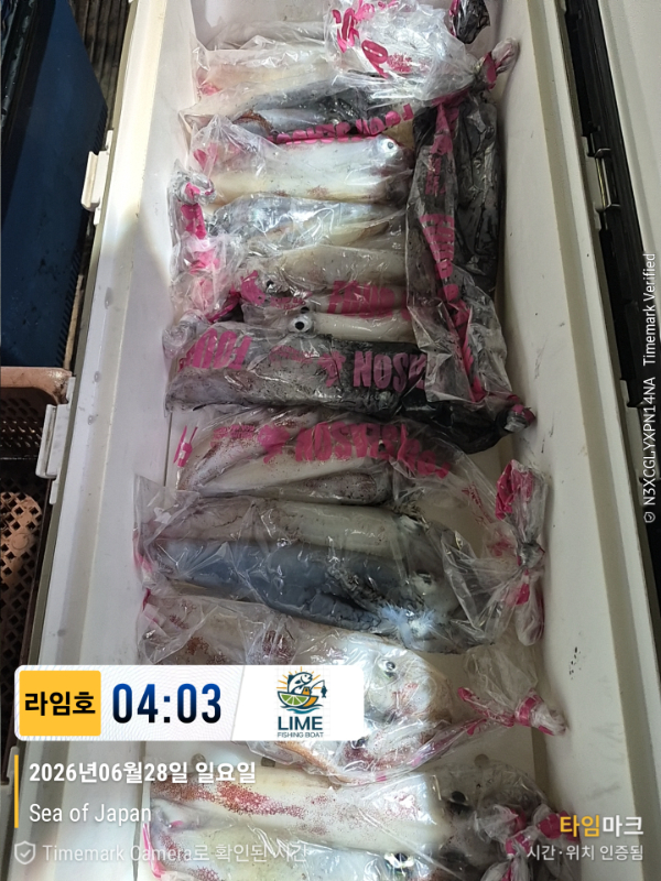 KakaoTalk_20260628_134018523.jpg
